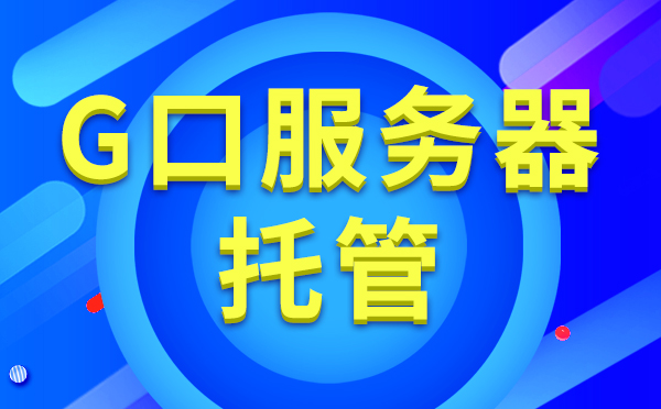 G口大帶寬服務(wù)器租用多少錢(qián)